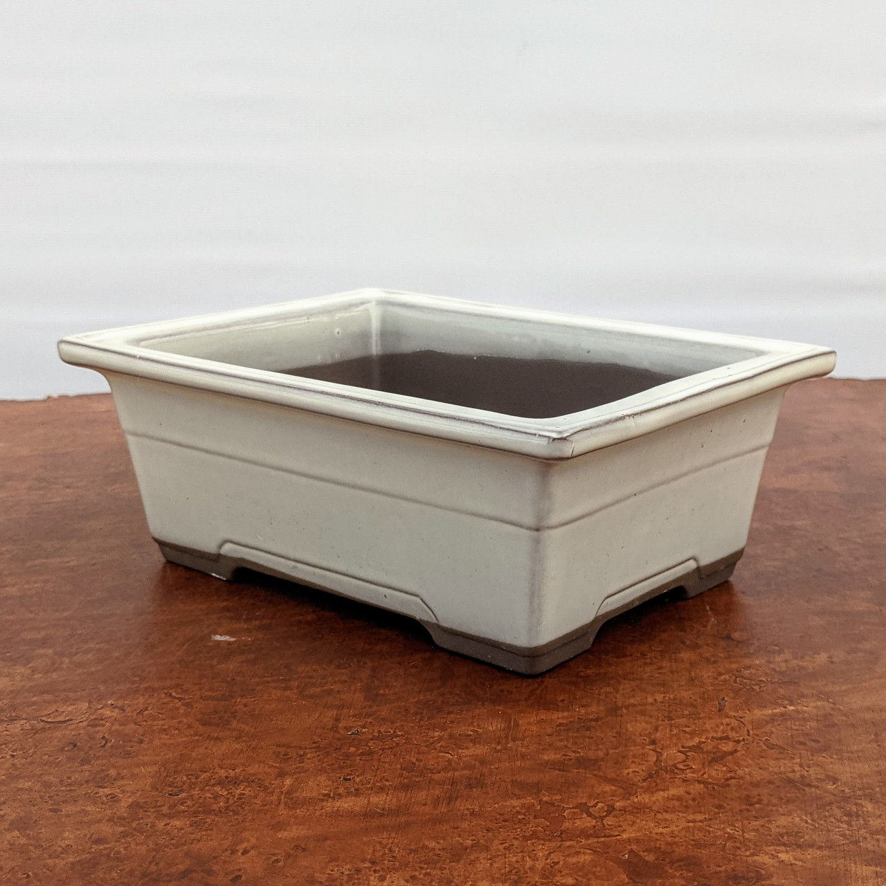 Cream Glazed Rectangle Bonsai Pot - New England Bonsai Gardens