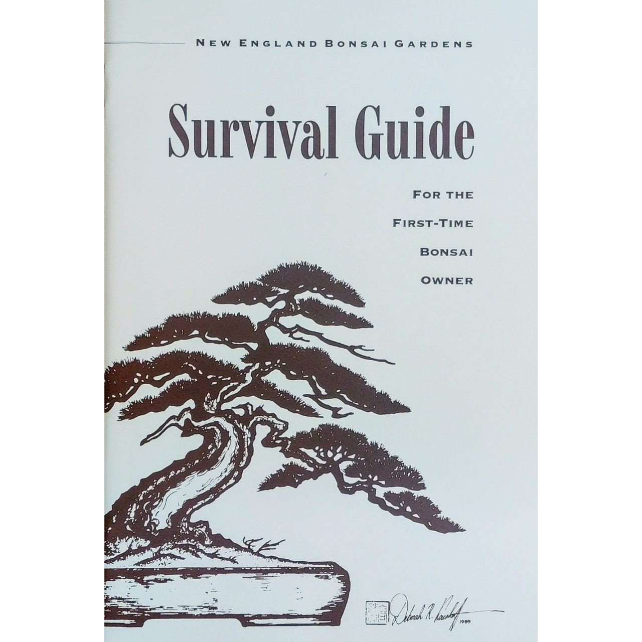 Survival Guide For The First Time Bonsai Owner New England