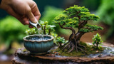 Bonsai Tree Care: Expert Tips for Growing & Maintaining Healthy Trees