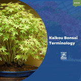 Kaikou Bonsai Termilogy