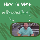 How To Wire A Bonsai Pot