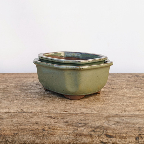 Oribe (Olive/Green) Japanese Bonsai Pot