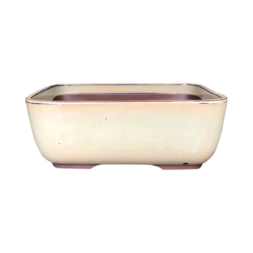 Oribe Glazed Bonsai Pot in Cream