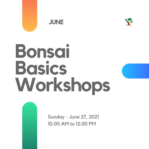 Bonsai Basics Workshop (Sunday, June 27, 2021)