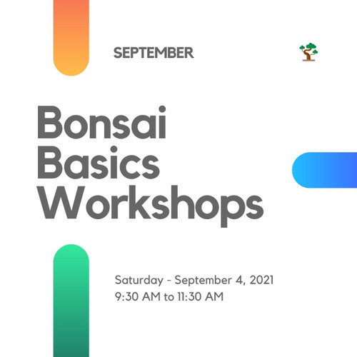 Bonsai Basics Workshop (Saturday - September 4, 2021)