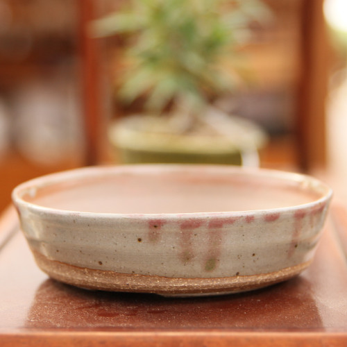 Sean Guo Handmade Pot at New England Bonsai