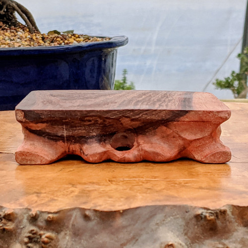 Shohin Bonsai Root Display Table