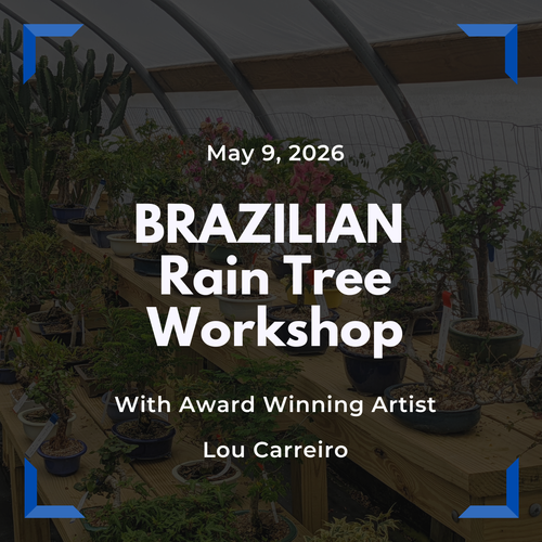 Brazilian Rain Tree Styling Workshop with Lou Carreiro (Saturday, May 9, 2026)
