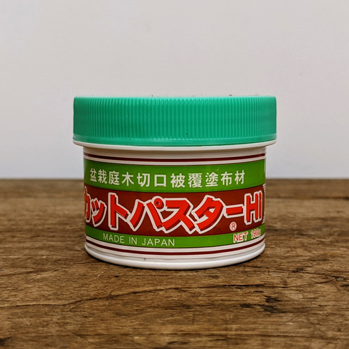 Japanese Cut Paste - Conifers and Azalea's