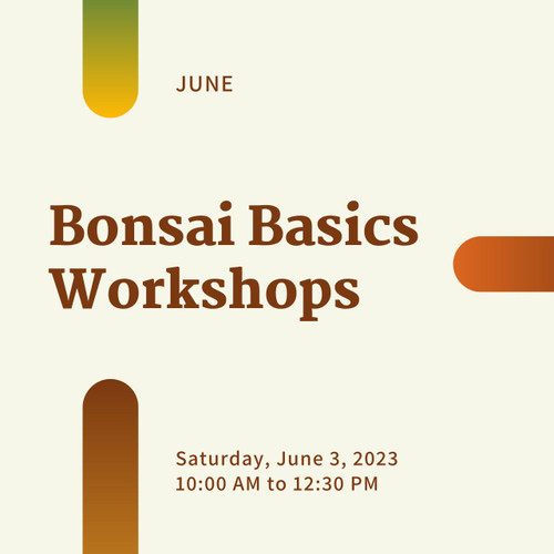 Bonsai Basics Workshop (Saturday, June 3, 2023)