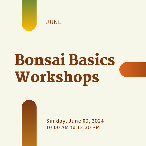 All-Inclusive Bonsai Basics Workshop (Sunday June 9, 2024)