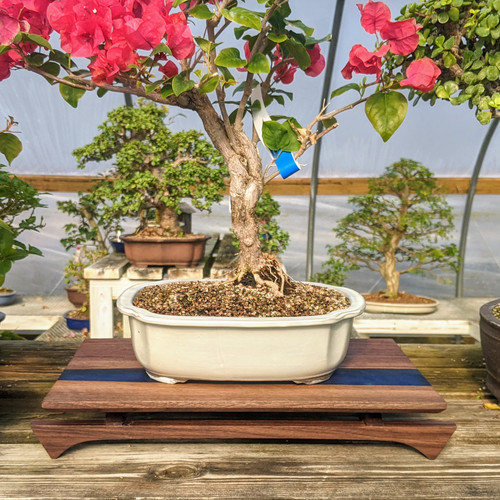 16" Bonsai Display Table with River Effect (043)