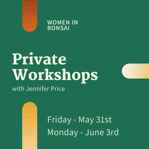 Private One-on-One Workshops with Jennifer Price