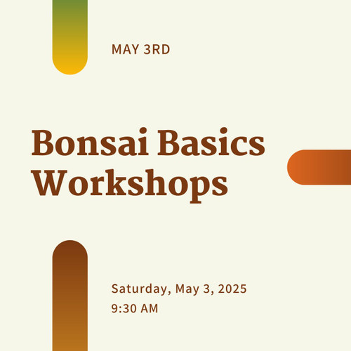 Bonsai Basics Workshop (Saturday - May 10, 2025)