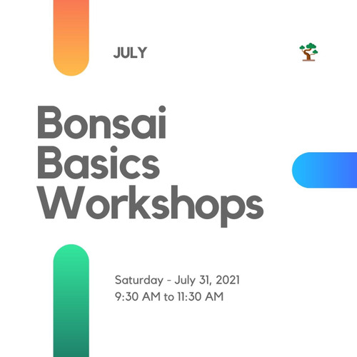 Bonsai Basics Workshop (Saturday - July 31, 2021)