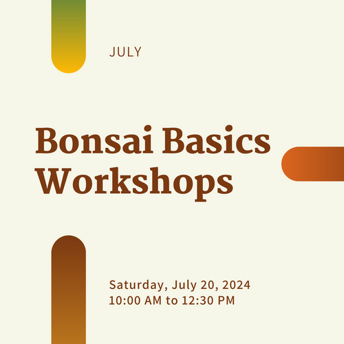 Introduction to Bonsai: Embark on your Bonsai Journey! (Saturday July 20, 2024)
