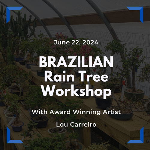 Popular Brazilian Rain Tree Transplanting Workshop with Lou Carreiro (June 22, 2024)