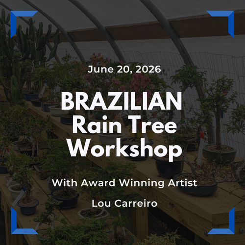 Popular Brazilian Rain Tree Transplanting Workshop with Lou Carreiro (June 20, 2026)