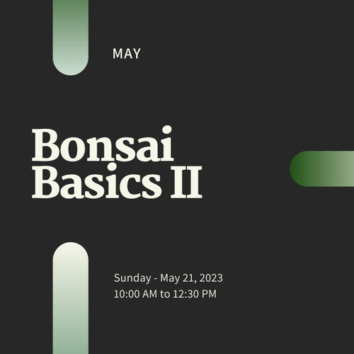 Bonsai Basics II: Styling & Design Workshop (Sunday May 21, 2023)