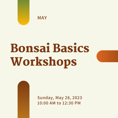 Bonsai Basics Workshop (Sunday, May 28, 2023)