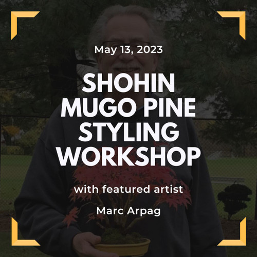 Shohin Mugo Pine Styling (All-Inclusive) Workshop with Marc Arpag (Saturday, May 13, 2023)