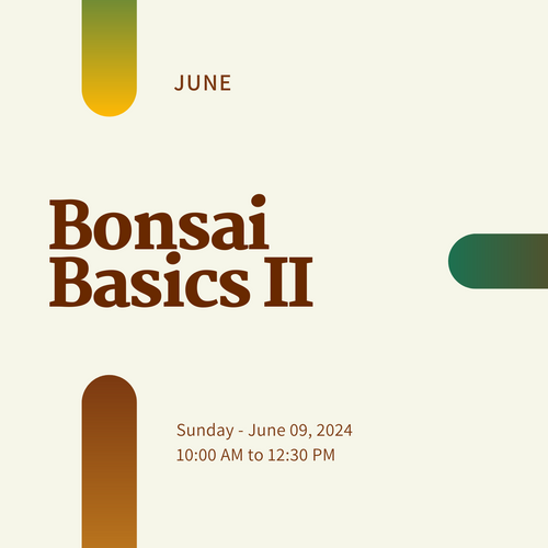 Bonsai Basics II: Styling & Design Workshop (Sunday June  09, 2024)