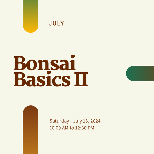 Bonsai Basics II: Styling & Design Workshop (Saturday July 13, 2024)