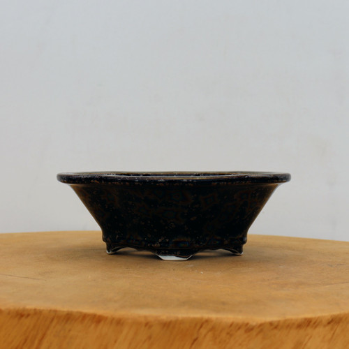 6" Glazed Tokoname Pot - Senzan  (No. 1568)