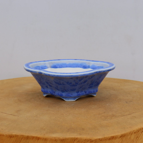 6" Glazed Tokoname Pot - Senzan  (No. 1570)