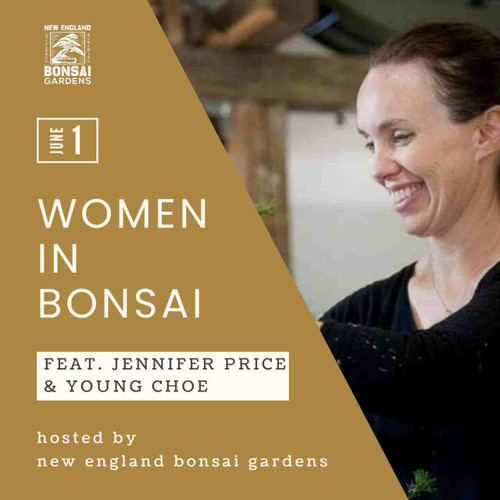 Women in Bonsai 2024