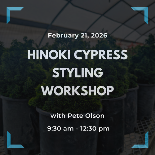 Hinoki Cypress Styling Workshop (Saturday, February 21, 2026)