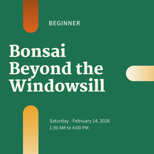 Bonsai Beyond the Windowsill - Your First Outdoor Tree (Feb 14, 2026)