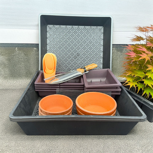 NEBG Seed Germination & Propagation Kit – Everything You Need to Start Growing Bonsai