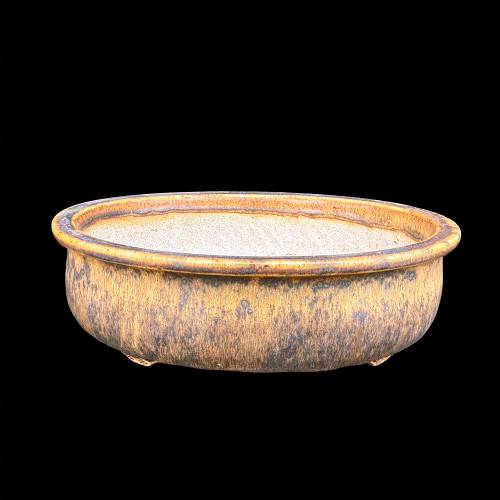8.5" Oval Sara Rayner Glazed Bonsai Pot – Golden Ochre Drip, Show Quality No. 1001