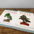 Bonsai Today Master Series Book Kit - Growing and Styling Pines & Junipers