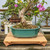 13" Bonsai Display Table - Split Top (057)