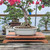 14" Bonsai Display Table with River Effect (058)