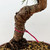 Seed Grown Mikawa Japanese Black Pine In an Yixing Ceramic Pot No. 10586
