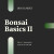 Bonsai Basics II: Styling & Design Workshops for 2026 - Coming Soon