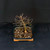 Seiju Elm Bonsai in Vintage Ceramic Pot – Limited Edition (Only 10 Available!) No. 14200