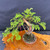 Gerald Rainville Dawn Redwood Bonsai – Compact with Character Trunk In Tokoname Grow Pot No. 22503