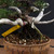 Gerald Rainville Shimpaku Juniper Bonsai – Styled by Pete Olson in Wood-Fired Bruce Lenor Pot No. 15971