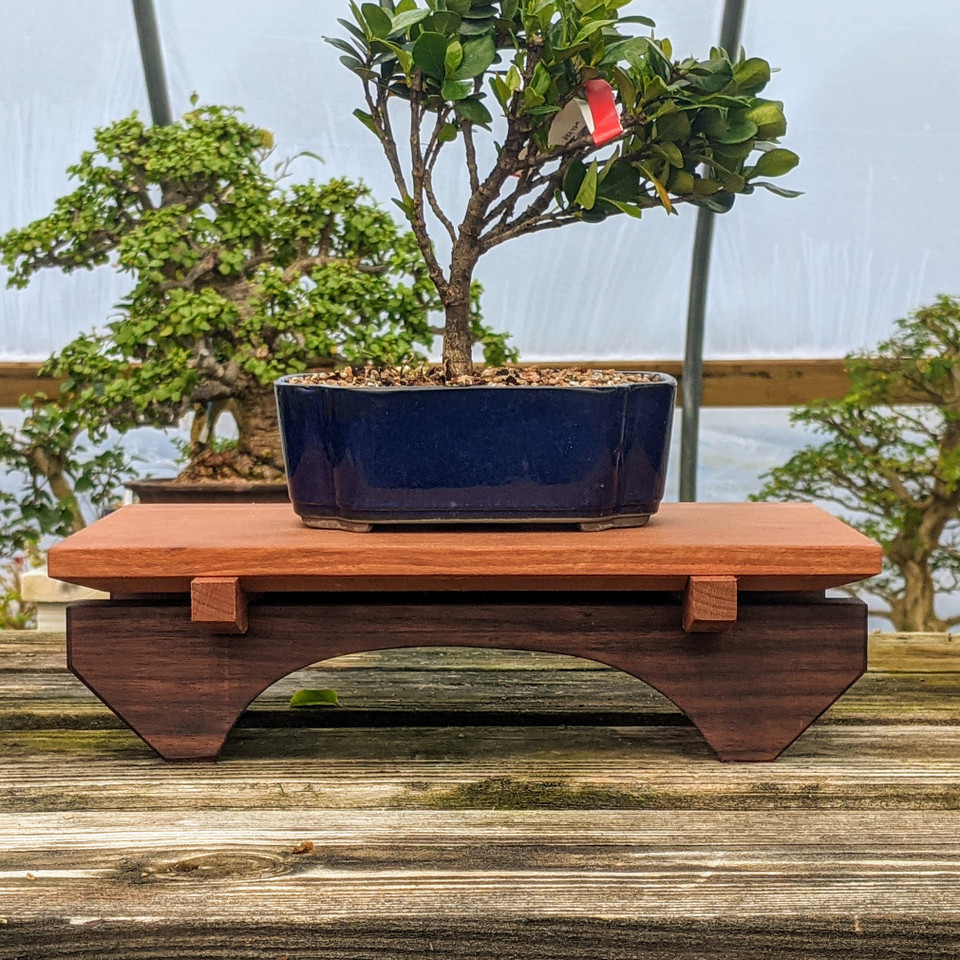 12" Black Walnut Bonsai Table Stand BTT045 at
