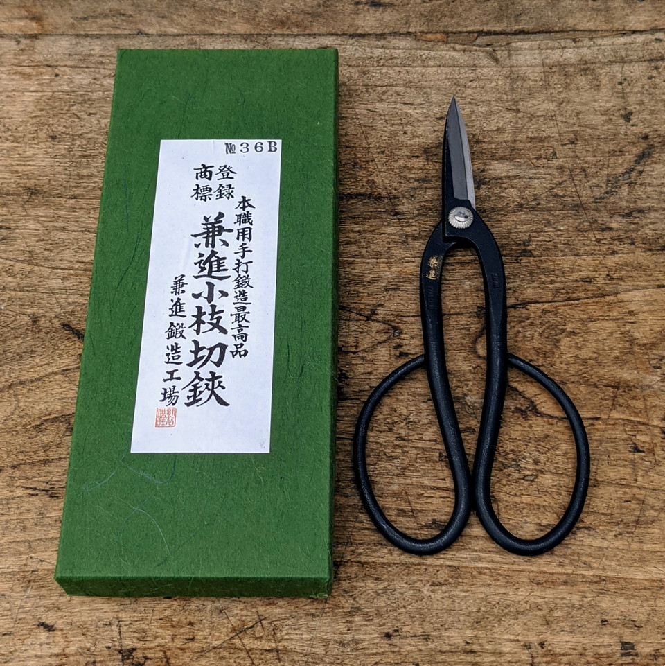 Kaneshin No 36b Bonsai Shears at New England Bonsai Gardens