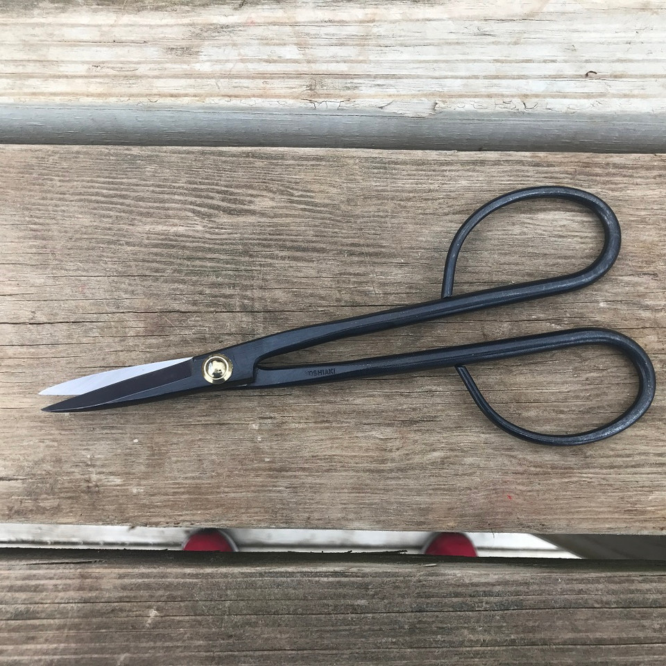 Kaneshin No 36b Bonsai Shears at New England Bonsai Gardens