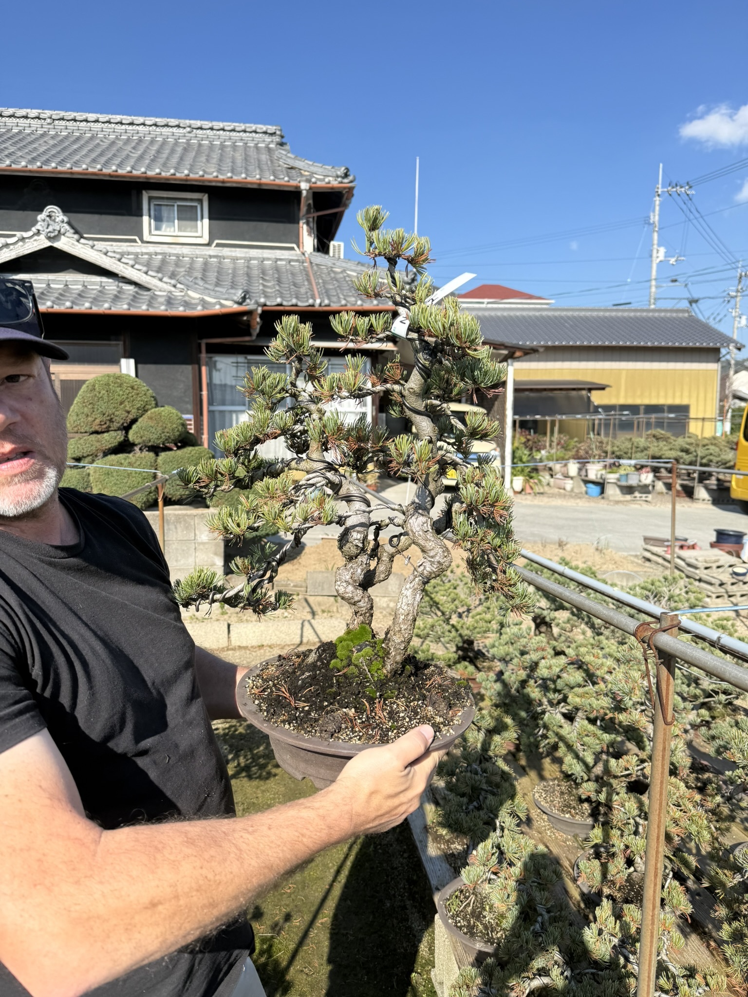 Hand selecting trees for NEBG