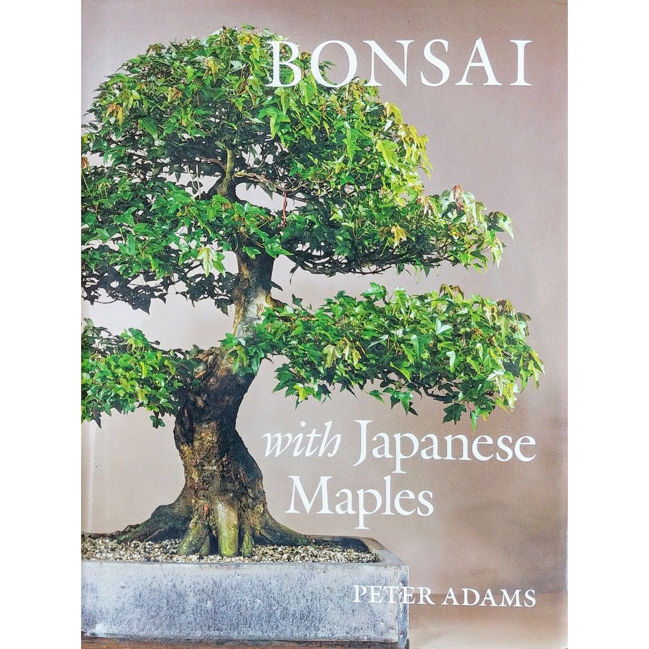 Bonsai: A Patient Art 洋書 Amazon.com: Bonsai: A Patient Art: 9780300190908: Nakamura