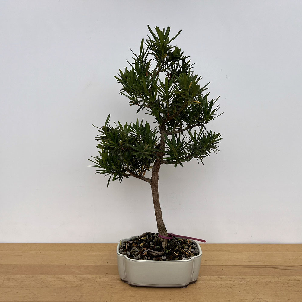 IMG_5377__26075__16940.