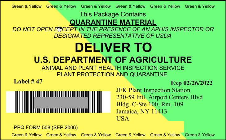 The Bonsai Problem Nobody Talks About