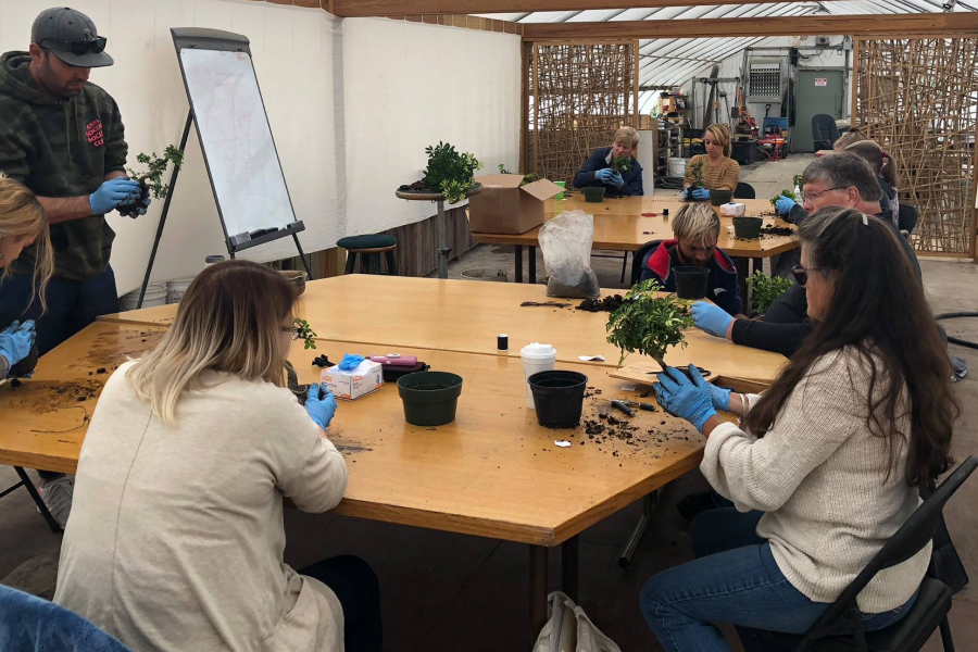 Team-Building Workshops